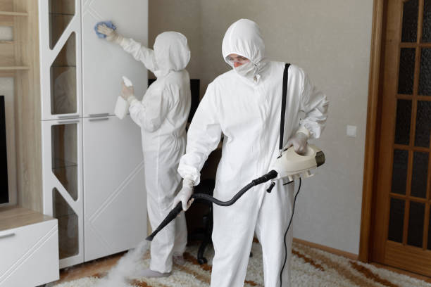 Trusted Trauma Scene Cleanup service in District Heights, MD - Four Month Blood Cleanse